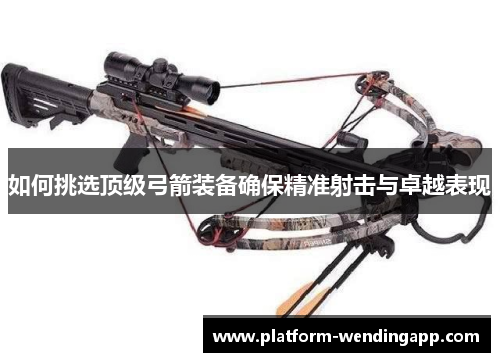 如何挑选顶级弓箭装备确保精准射击与卓越表现